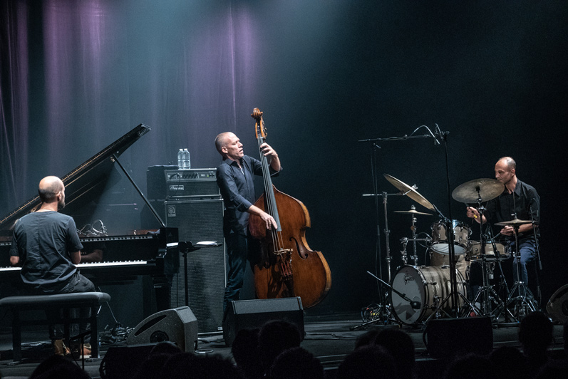 Avishai Cohen Trio